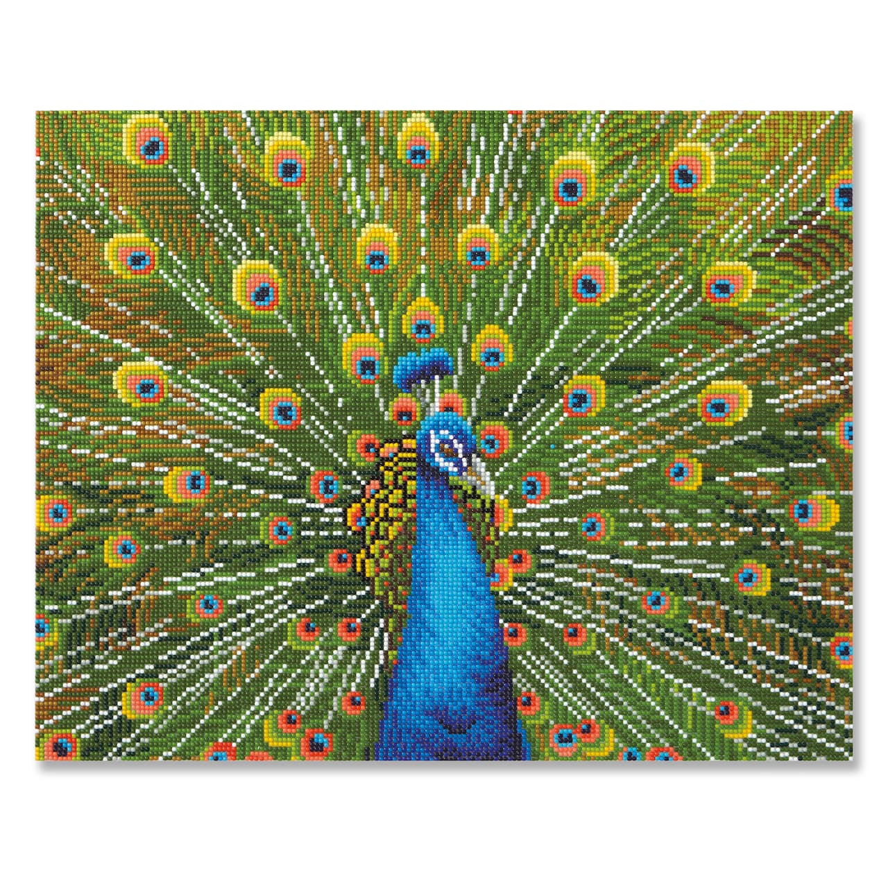 Peacock Diamond Art Kit by Make Market®